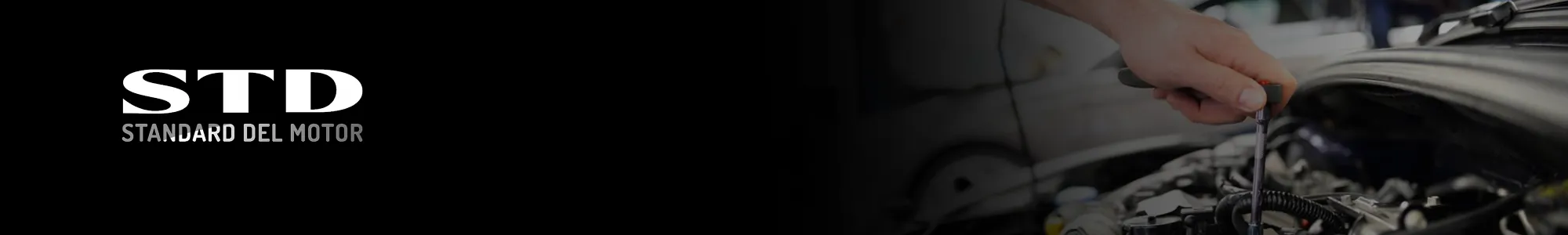 Banner de quiénes somos